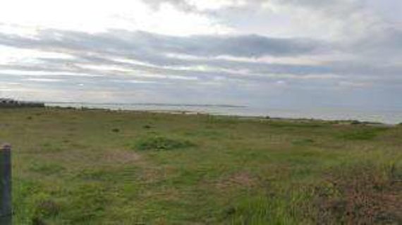 Seasalter Whitstable Seasalter...